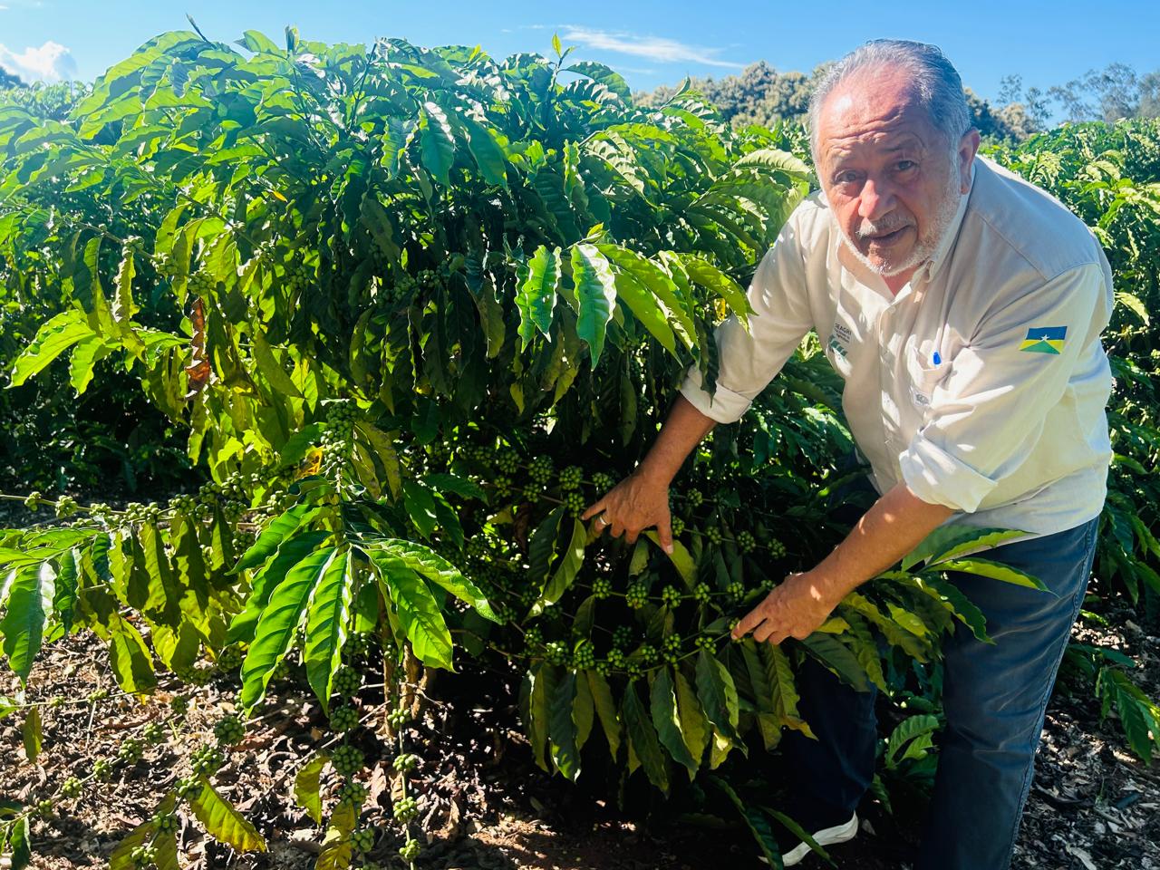 Café forte no campo, vida melhor para o produtor